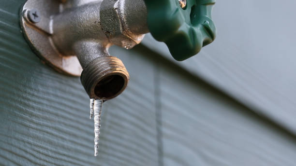 Best Plumbing Inspection Services  in Helmetta, NJ